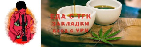 индика Бородино