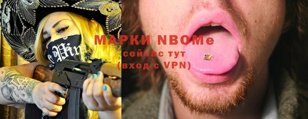 индика Бородино