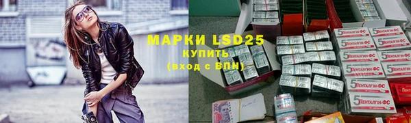 прущий лед Богданович