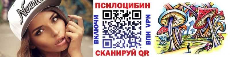 Купить закладки  Кингисепп  Псилоцибиновые грибы Psilocybine cubensis 